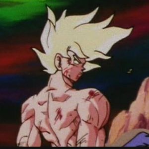 Meet your Posher, Cesar